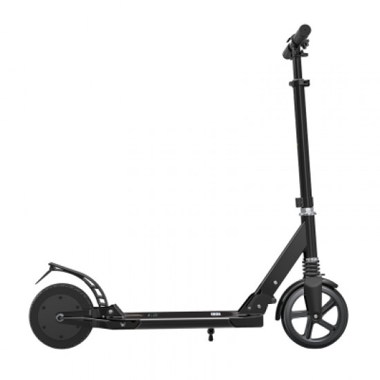 Folding Electric Scooter